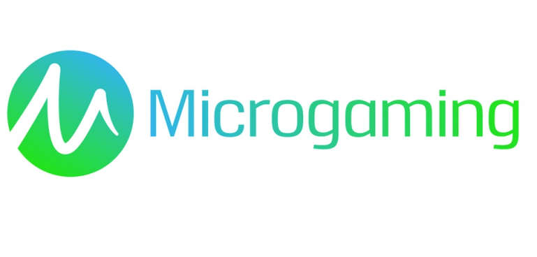 MicroGaming provider