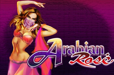 Arabian rose