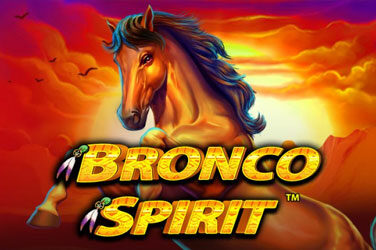 Bronco spirit