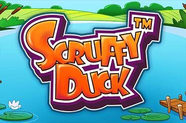Scruffy duck