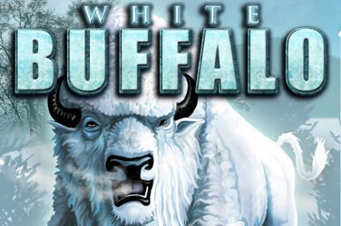 White buffalo